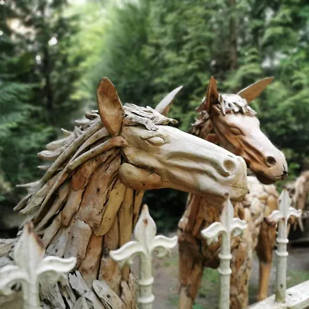 Leitzingen Feriepark Soltau